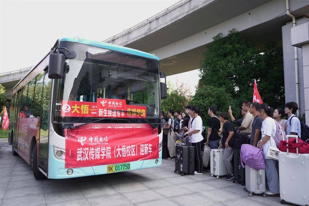 九五至尊vi所有网站